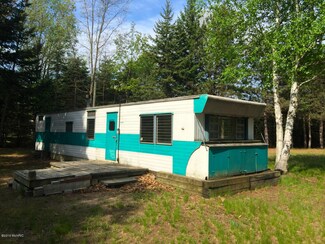 85 E Sauble Dr, Free Soil, MI 49411