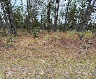 0 SE 133rd Ave Unit T3412414, Dunnellon, FL 34431