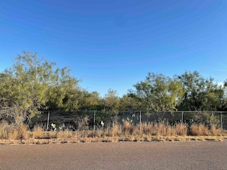 Lots 3 -5 Falcon Mesa, Zapata, TX 78076