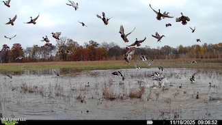 0 Counce Rd Unit 4124130, Tunica, MS 38676