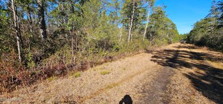 Lot 47&48 2nd, Boiling Spring Lakes, NC 28461