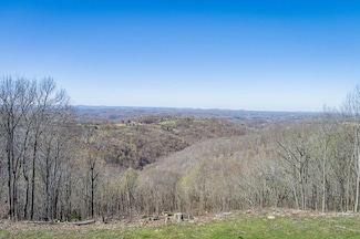 38.8 Ac. Anderson Rd, Byrdstown, TN 38549