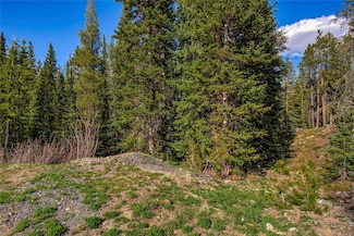 163 Lakeview Dr, Breckenridge, CO 80424