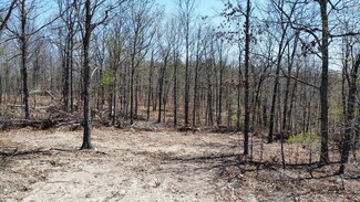 000 Highway C Tract 2, van Buren, MO 63965