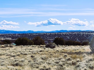 31 County Road 5079, Concho, AZ 85924