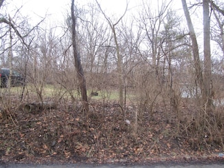 0 Cedar Dr, Pleasant Township, OH 43123