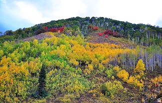 0 Middle Fork Dr, Huntsville, UT 84317