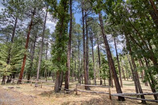 4 Colorados Ln Unit 2049, Alpine, AZ 85920
