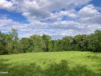 24.265 S Mohawk Rd, Midway, TN 37809