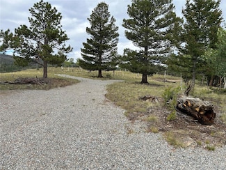 3826 Singletree Rd Unit 728, Hartsel, CO 80449