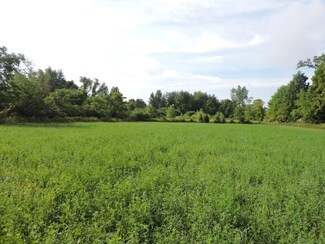 00 Squires Rd, Litchfield, MI 49252