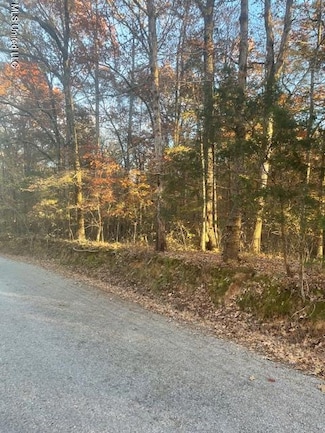 0 Dogwood Ranch Cir Unit 4131802, Byhalia, MS 38611