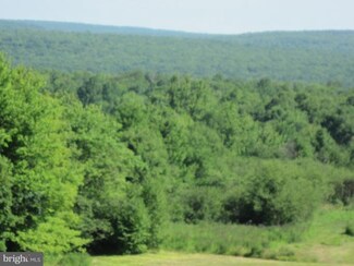 0 Short Run Rd Unit 1002617188, Kitzmiller, MD 21538