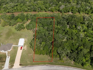 10 River Hollow Way, Blessing, TX 77465