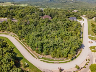 165 Forest Oak Dr, Hollister, MO 65672