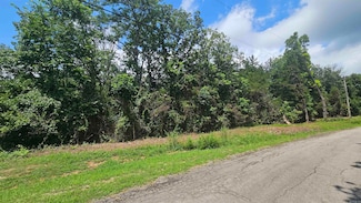 TBD N Walla St, Cherokee Village, AR 72529
