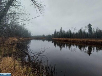 Parcel D County Rd 119, Ray, MN 56669