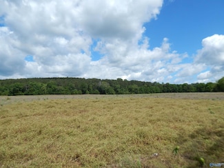 80 Acres County Road 29, Piedmont, AL 36272