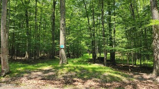 Lot 36-37 E Shore Dr, Lords Valley, PA 18428