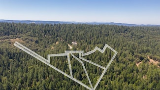 19350 Tyleranne Ln, Volcano, CA 95689