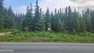 L1 B2 E Redoubt Ave, Soldotna, AK 99669