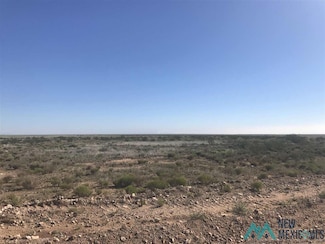 804 Chickasaw, Hagerman, NM 88232