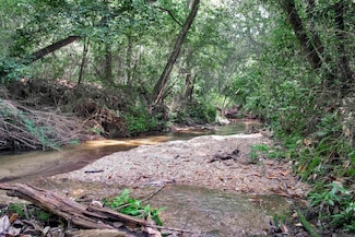 Lot 2 & 3 Louisiana 62, Franklinton, LA 70438