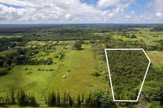 17-4531 South Rd, Kurtistown, HI 96760