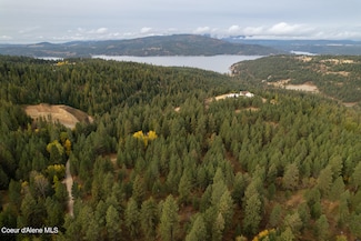 NKA 17 Acres S Dunlap Rd, Harrison, ID 83833