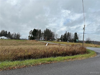 0 Boies Rd, Aurora, NY 14052