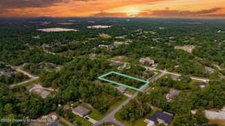 Lot #1 Mexican Canary Ave, Weeki Wachee, FL 34614