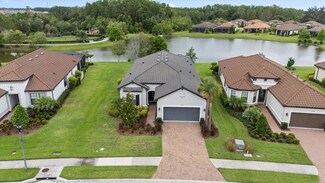 11398 Juglans Dr, Odessa, FL 33556
