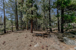 1442 Price Rd, South Lake Tahoe, CA 96150