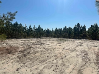 Tr 5 Providence Rd Unit 5, Cassatt, SC 29032