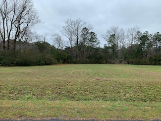 0 Peaceful Lakes Dr Unit 13627924, Exmore, VA 23350
