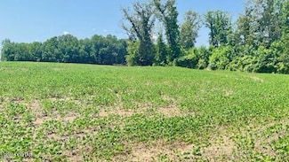 0 Roy Hargrove Rd, Medina, TN 38355