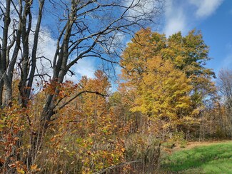 0 Lewis Rd Unit 201815706, Vanderbilt, MI 49795