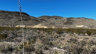 24423 Fellers Rd, Terlingua, TX 79852