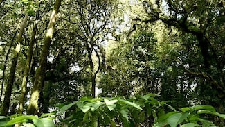 5791 NW Whitecap Rd, Port St. Lucie, FL 34986