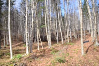 253 Brook Park Rd, Stewartstown, NH 03576