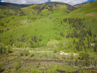 TBD N Delores River Trail, Rico, CO 81332