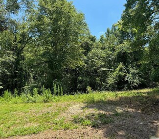00 Huddleston Rd, Sandersville, MS 39439
