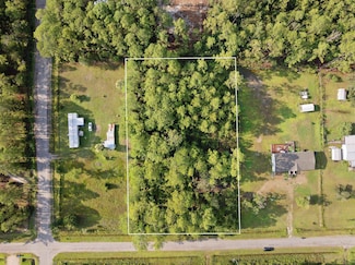 4415 Theresa St, Flagler Estates, FL 32145