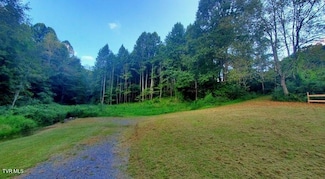 3670 Ravens Nest Branch Rd, Cedar Bluff, VA 24609