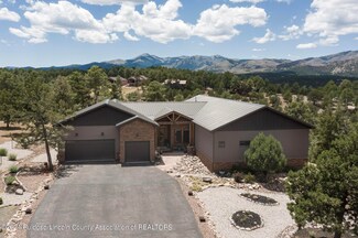 203 Mink Ln, Alto, NM 88312
