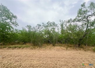 Lot 3 Wisteria Ln, Smiley, TX 78159