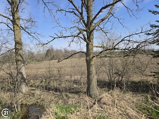 0 Weber (Lot C) Rd Unit 50172579, Richmond Township, MI 48063