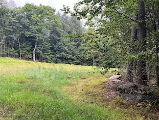 34 Black Bear Rd, Liberty, NY 12725