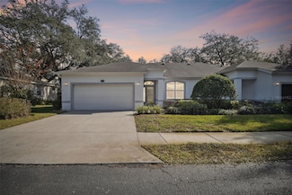 8529 Alexandra Arbor Ln, Temple Terrace, FL 33637