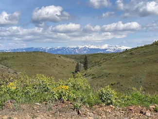 TBD Upper Goodrich Creek Rd, Council, ID 83612